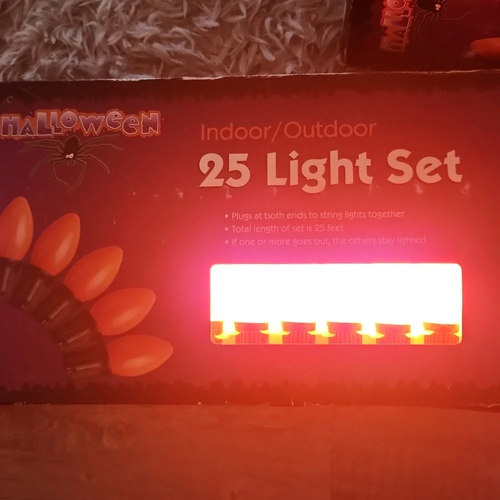 COPY - Vintage Halloween Indoor/Outdoor 25 Light Set - Orange